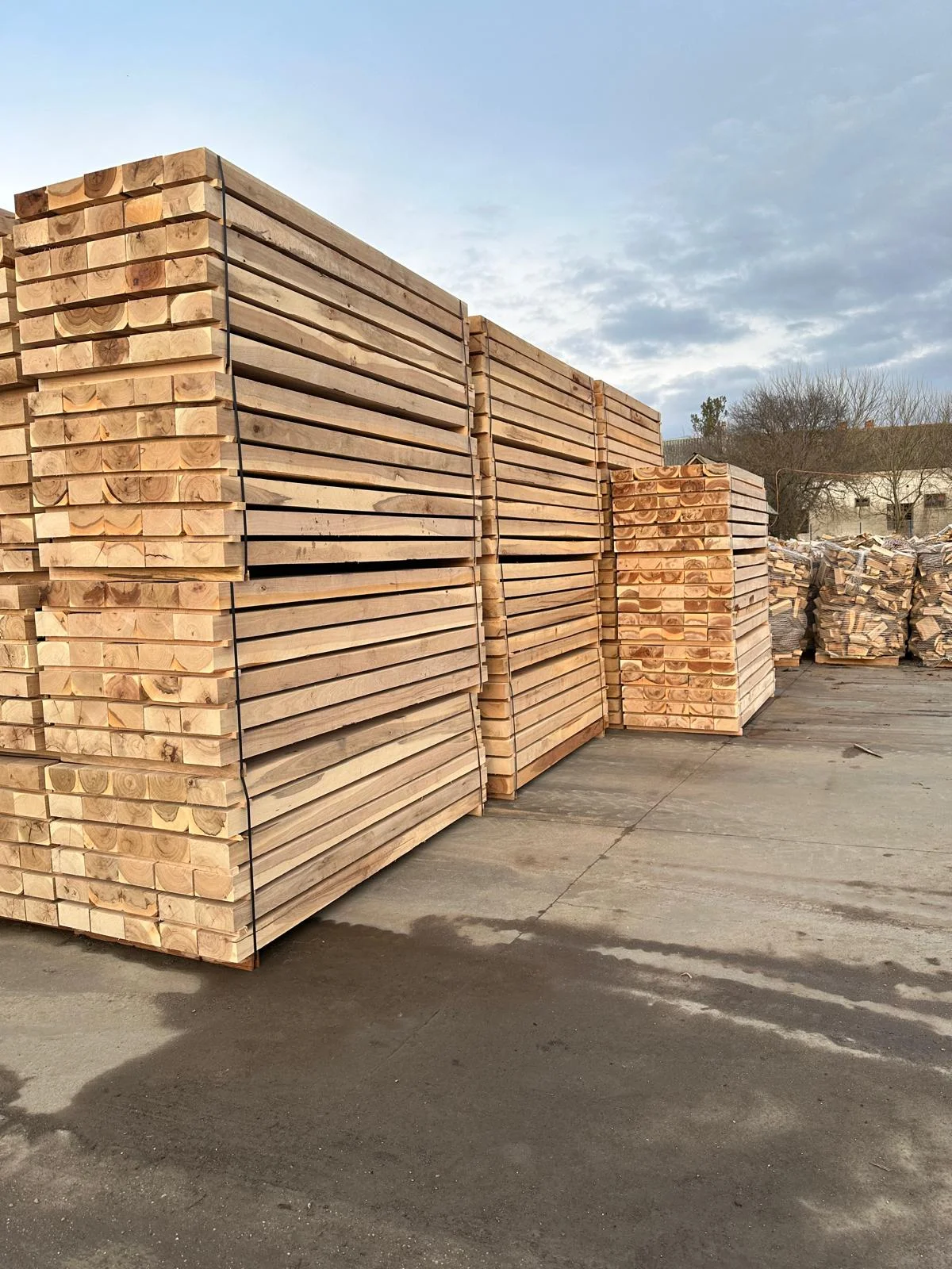 oak-wood-sleepers-romania-railways